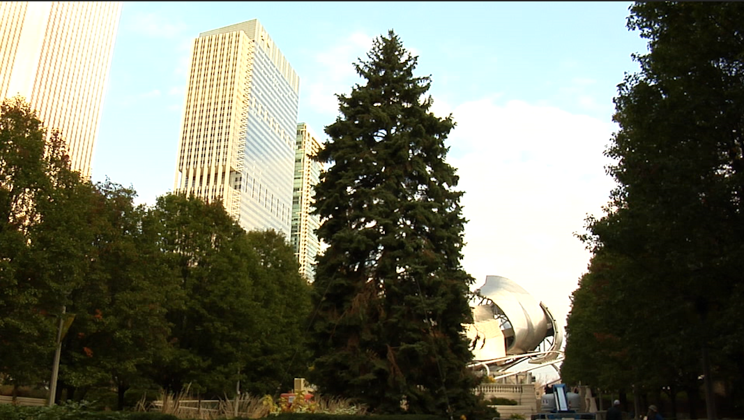 Chicago kicks off holiday season with the Millennium Park Christmas